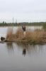 Файл=IMG_8998.JPG
Объём=130KB
Размеры=600x923
Дата=Май 30, 2009 IMG_8998.JPG