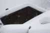 Файл=roof.jpg
Объём=630KB
Размеры=1092x728
Дата=Май 27, 2009 roof.jpg