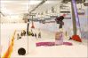 Filename=DSC_0835.jpg
Filesize=212KB
Dimensions=905x602
Date added=Dec 21, 2009 DSC_0835.jpg