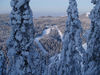 Файл=17lelyanikulina3.jpg
Объём=88KB
Размеры=600x450
Дата=Сент 19, 2006 17lelyanikulina3.jpg