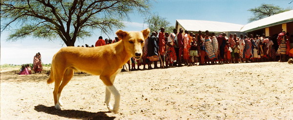 Image Image